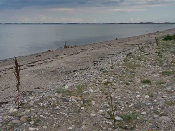 Halshuisene + Enebaerodde Beach (Denemarken)